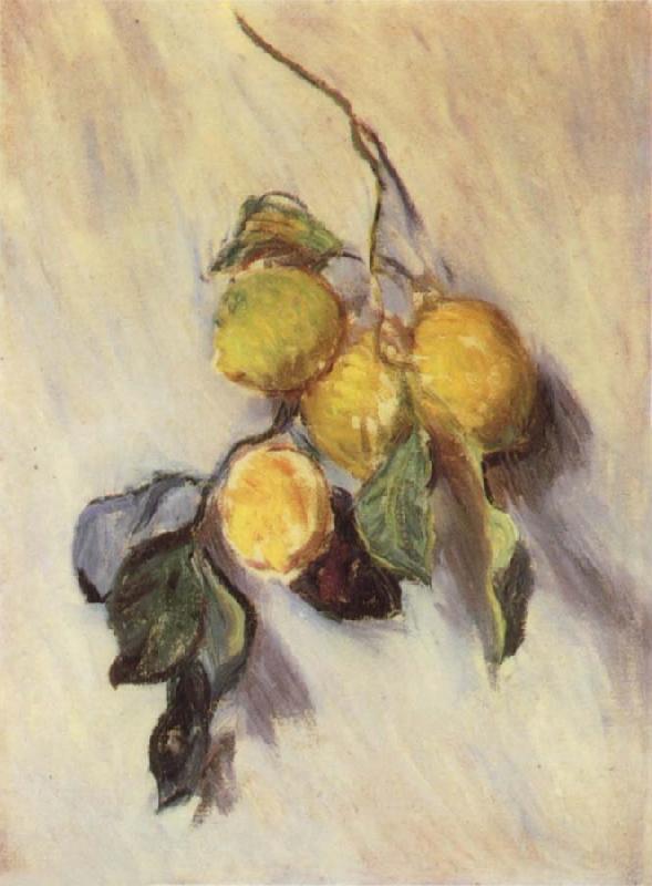 Claude Monet Branch from a Lemon Tree